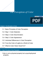 Sensation and Perception Lecture PPT - ch05