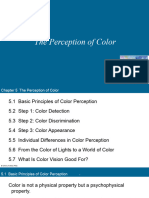 Sensation and Perception Lecture Ppt_ch05