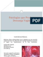 Patologías vaginales comunes