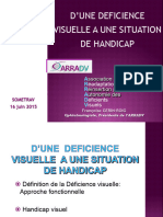 5 1 Deficience Visuelle Situation Handicap