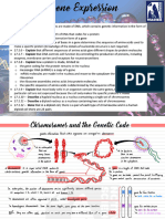 L1 - Gene Expression