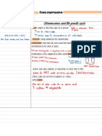 L1 Gene Expression