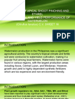 INFLUENCE OF APICAL SHOOT PINCHING AND ETrel