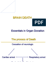 d6.2. 2. Brain Death