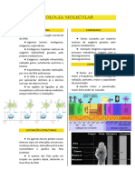 Cópia de 2. BIOLOGIA MOLECULAR - Dano ao DNA