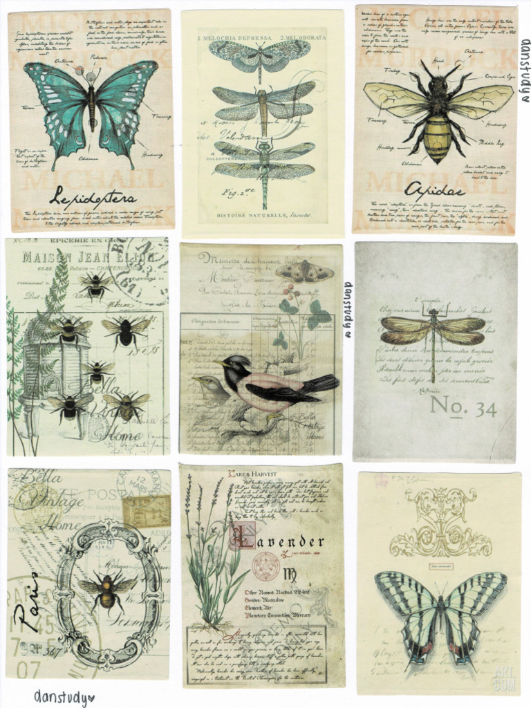 Biología Vintage | PDF