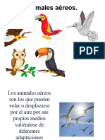 Animales Aéreos