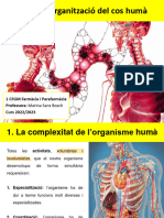 Tema 1_Organització del cos humà