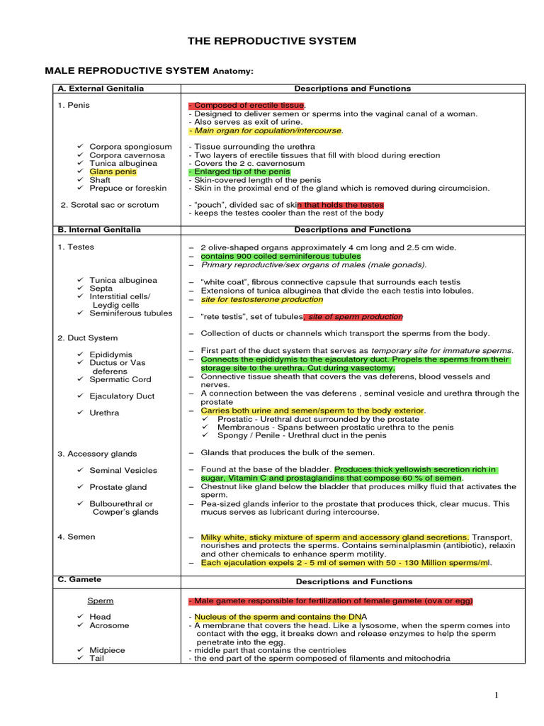 Ob Notes Normal | PDF | Menstrual Cycle | Luteinizing Hormone