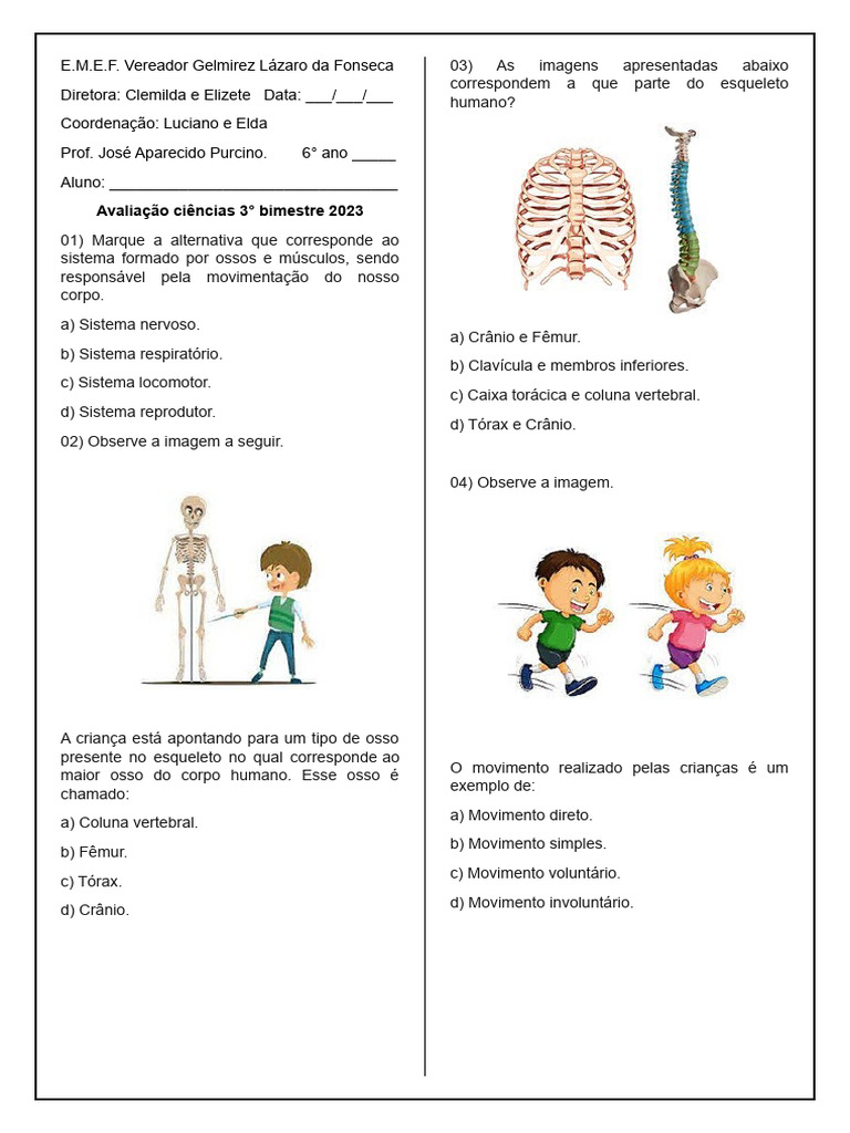 Atividades sobre Sistema Locomotor 6º Ano | PDF | Corpo humano | Músculo