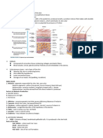 INTEGUMENTARY-AND-SKELETAL-SYSTEMS