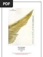 SALMAN.rushDIE.versos.satanicos