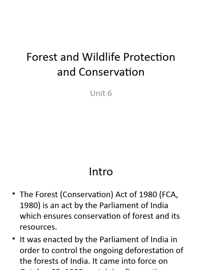 Wildlife visual data 4