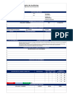 Registro Auditorias (Modelo 2)