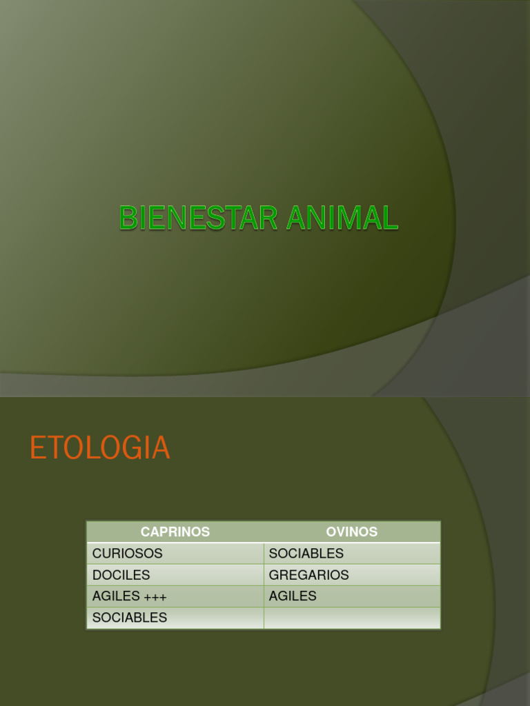 Bienestar Animal | PDF | Oveja | Bienestar de los animales