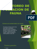 Monitoreo de Poblacion de Flora y Fauna