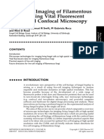 Dye For Live Cell Imaging Fungal Mycelia