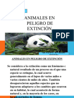 Animales en Peligros de Extencion