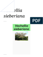 Vachellia Sieberiana - Wikipédia