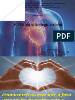 Morfologia Sistemului Cardiovascular