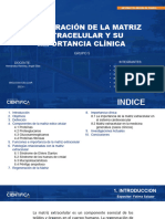 regeneracion de la matriz extracelular y su importancia clinica EXPO