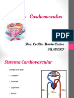 SISTEMA CARDIOVASCULAR-comprimido