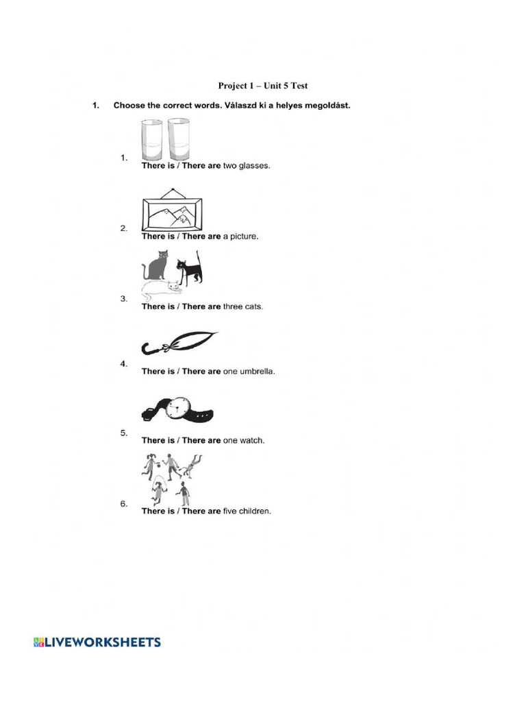 Project 1 Unit 5 Test Pdf