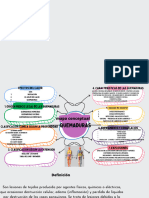 Mapa Conceptual de Quemaduras