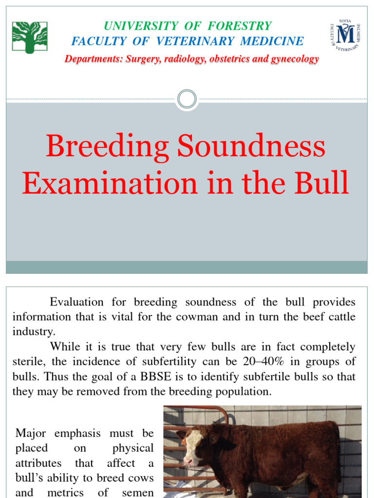 This Breeding Exam Changed My Mind About Soundness Forever