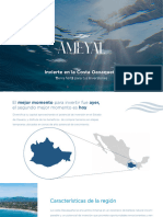 Brochure - Ameyalx