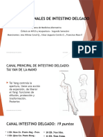 Intestino Delgado- Present- CANAL