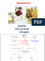 AULA Parte 2 - Glicólise, Ciclo de Krebs e Glicogênio
