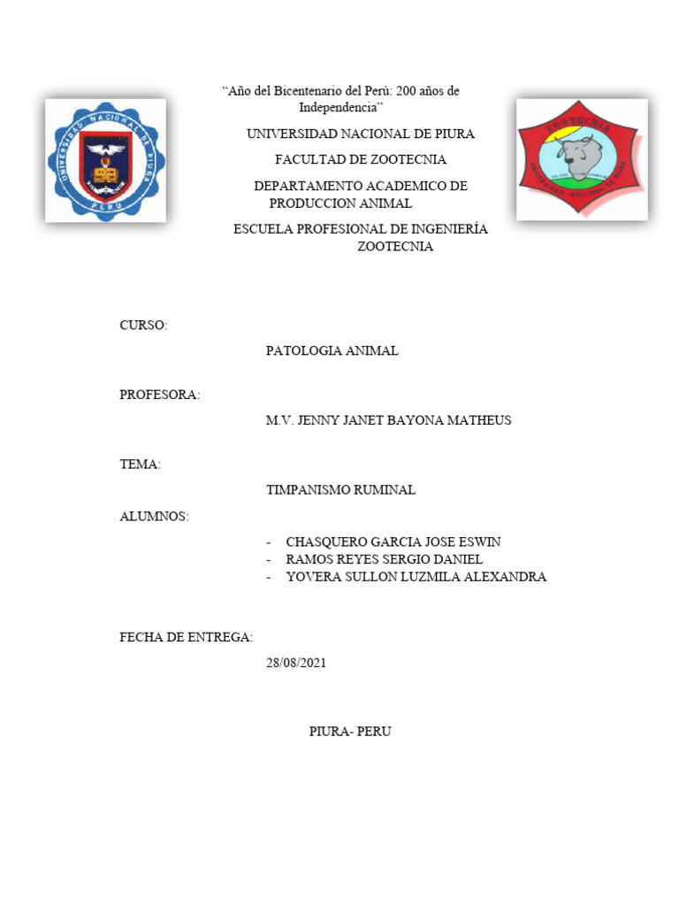 Timpanismo Ruminal Grupo 3 Patologia Ruminal PDF Pasto Vacas