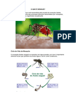 O Que É Dengue