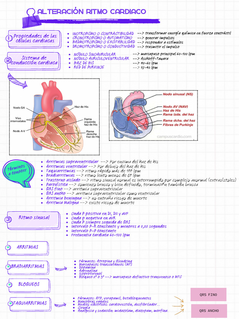 Clasificación y Tratamiento de Arritmias | PDF | Electrocardiografia ...