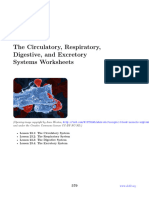 CK-12 Biology Chapter 23 Worksheets