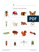 Animal-Insects and Rodents