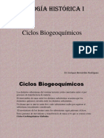 Geología Histórica 5.-Ciclos Biogeoquímicos