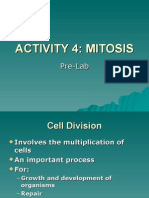 Activity 4 Prelab - Mitosis