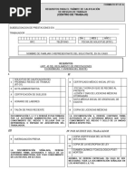 Formato RT-01 ISSSTE 2024 | PDF | Gobierno | Medicina