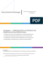 Unidade 1 Seção 1.4 Organização Do SN