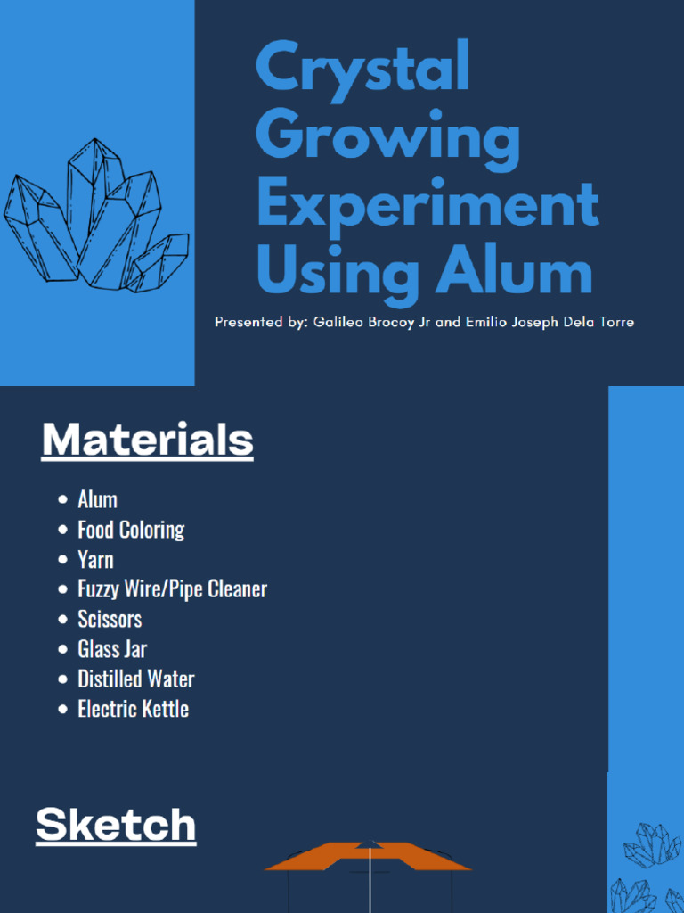 Scientific Report 1 Pdf Pdf