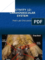 Activity 12 - Postlab CV System