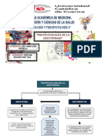 Psicopatologia de La Afectividad