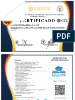 Certificado: Alexander Barboza Galvez