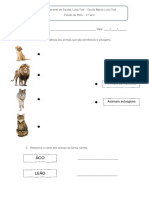 Ficha Estudo Do Meio Adaptada