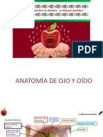 Anatomía Del Ojo