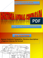 Anatomia Topografica 1