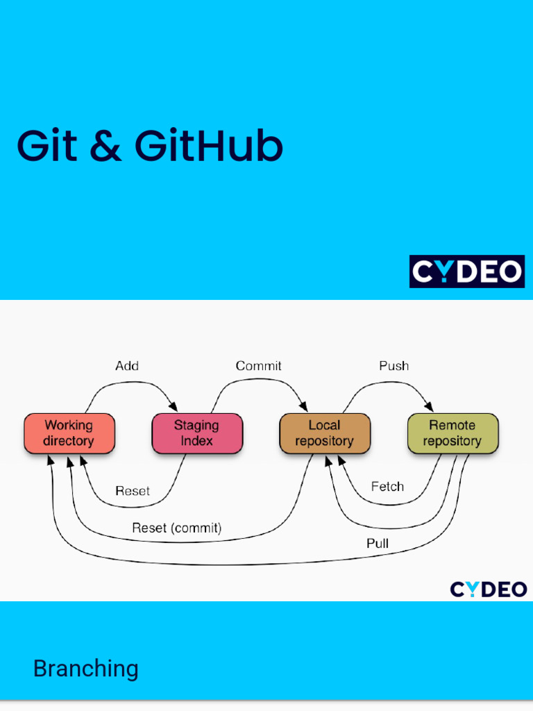 Git & GitHub: Branching and Merging Guide | PDF