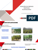 Tasaciones de Predios Rusticos-Plantaciones - Jvalverde